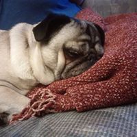 Nancy Macmillan Photo 10