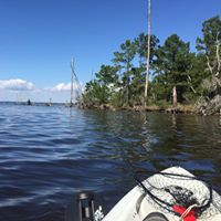 Thomas Cash Photo 29