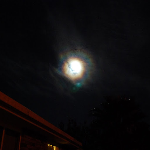 Lisa Minner Photo 16