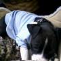 Amy Curry Photo 13