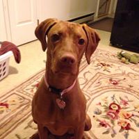 Nancy Hutton Photo 10