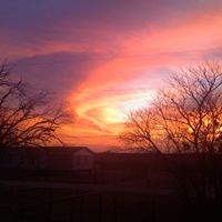 Francesca Cook Photo 9