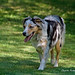 Carole Berger Photo 21
