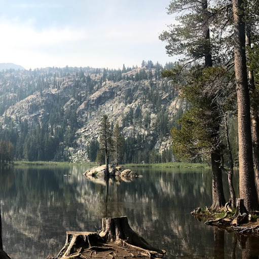 Carrie Bradley Photo 24