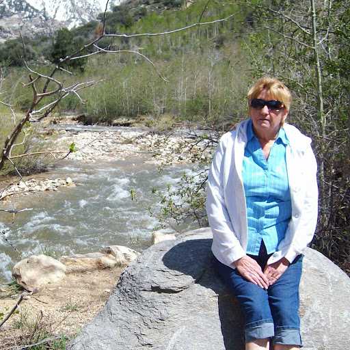 Nancy Stout Photo 16