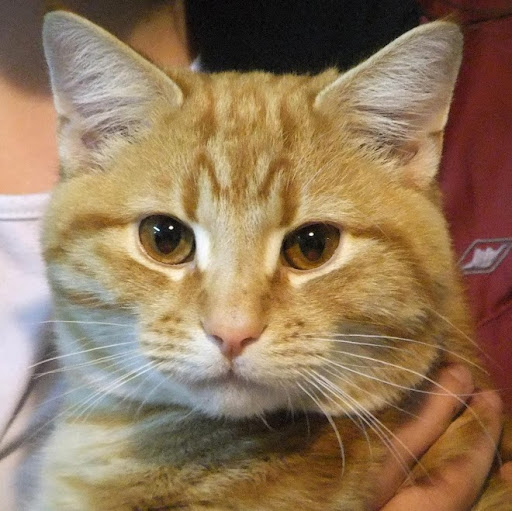 Freddie Cox Photo 34