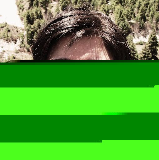 Diane Myers Photo 13