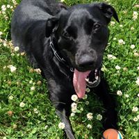 Anne Harding Photo 18