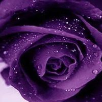 Cynthia Galang Photo 13