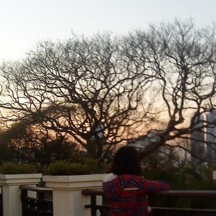 Sze Yeung Photo 7