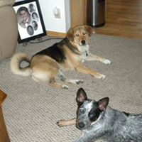 Amy Griffith Photo 15
