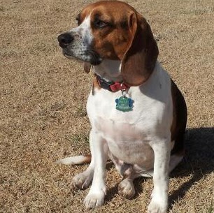 Brenda Mayfield Photo 14