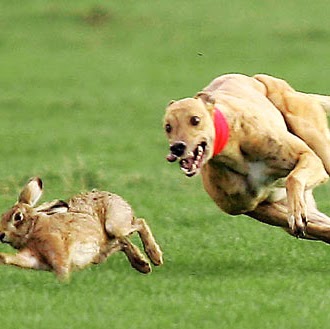 Richard Cunniffe Photo 3