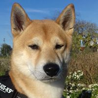 Jennifer Duffy Photo 43