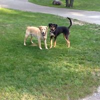 Julie Spaulding Photo 20