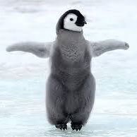 Michele Lewis Photo 39