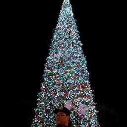 Jason Chung Photo 27