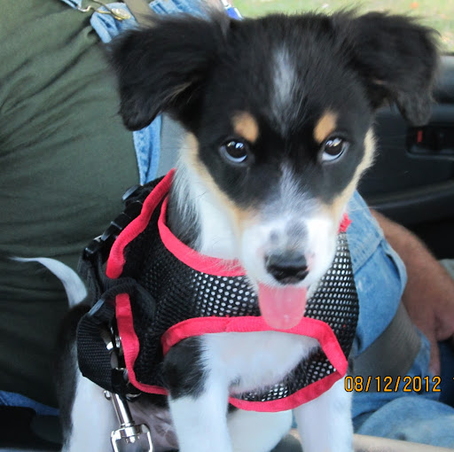 Edward Gannon Photo 5