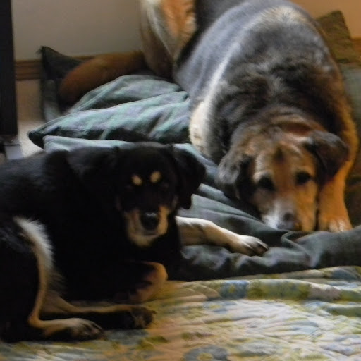 Steven Small Photo 22