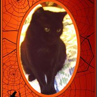 Rachel Dunham Photo 13