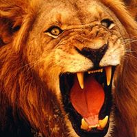 Ming Wu Photo 14 Ming Wu Photo 14