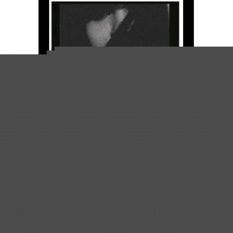 Stefanie Hahn Photo 19