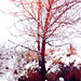 Tracy Rivers Photo 17