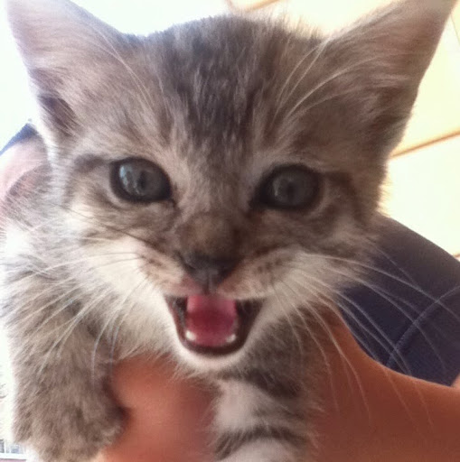 Manuel Ortega Photo 21