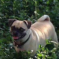 Lori Torres Photo 43