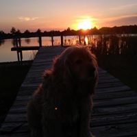 Connor Middleton Photo 7