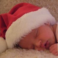 Cindy Schramm Photo 12