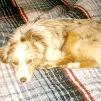 Kathi Stephens Photo 28