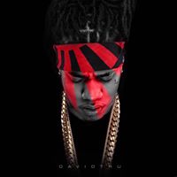 David Gibbs Photo 9 David Gibbs Photo 9