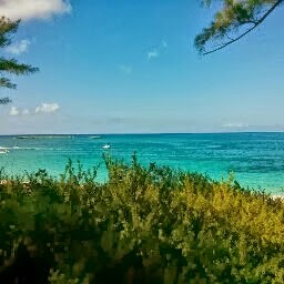 Augustus Brown Photo 4