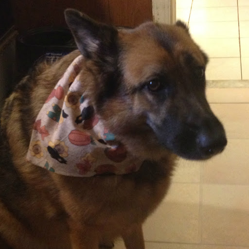 Jacqueline Fletcher Photo 13