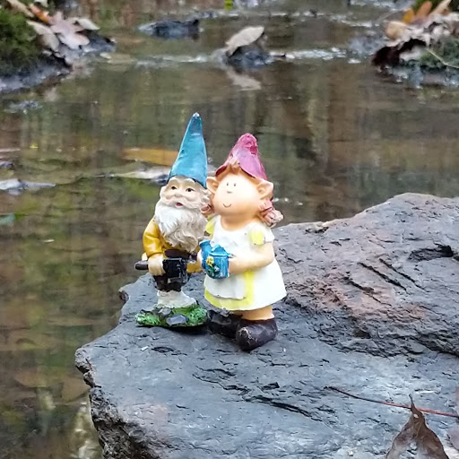 Teresa Weber Photo 16