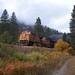 Steven Winton Photo 14