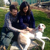 Tommy Willis Photo 16