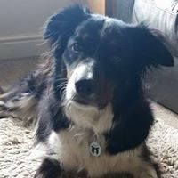 Carolyn Proctor Photo 10