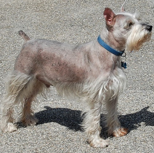 Daniel Turner Photo 12