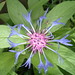 June Heck Photo 6