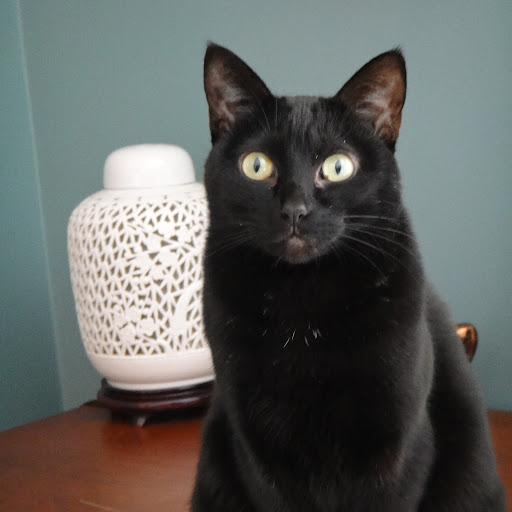 Suzanne Sutherland Photo 6