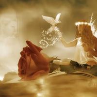 Linda Weiler Photo 8