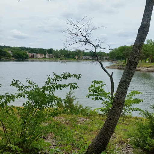 Teresa Palmer Photo 3