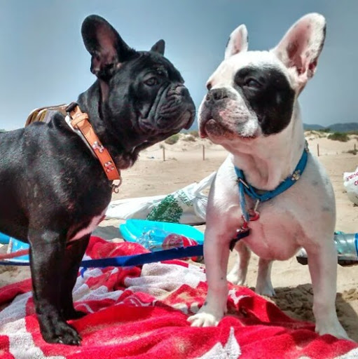 David Pastor Photo 35