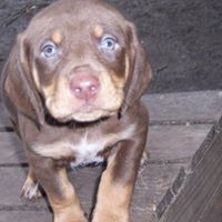 Linda Niemann Photo 8