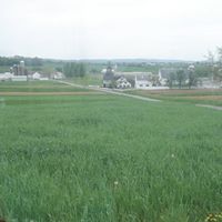 Regina Copeland Photo 24