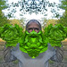 Scott Graden Photo 13