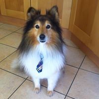 Amy Slattery Photo 7