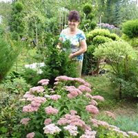 Eugenia Herman Photo 1